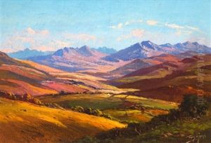 Extensive Landscape Extensive Landscape