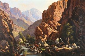 Oxwagon, Meiringspoort by Tinus de Jongh