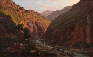 Near Cango Caves, Oudtshoorn