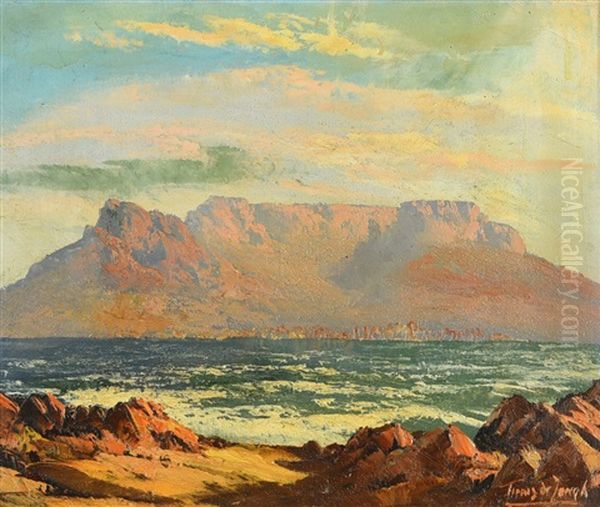 Table Mountain, Cape Town - view 1