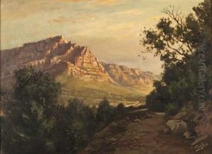 A View Of Table Mountain And The Twelve Apostles From Kloof Nek