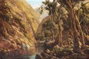 Wilderness Wilderness