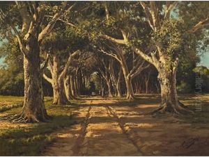 The Avenue