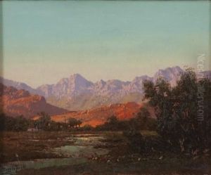 Farmhouse Near Barrydale by Tinus de Jongh