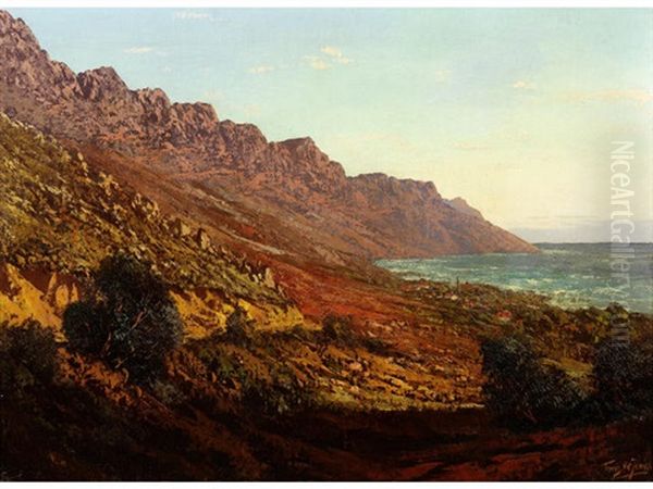 Camps Bay And The Twelve Apostles - view 1