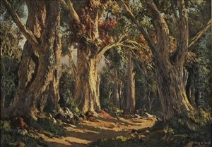 Knysna Forest by Tinus de Jongh