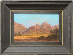 South African Landscape by Tinus de Jongh