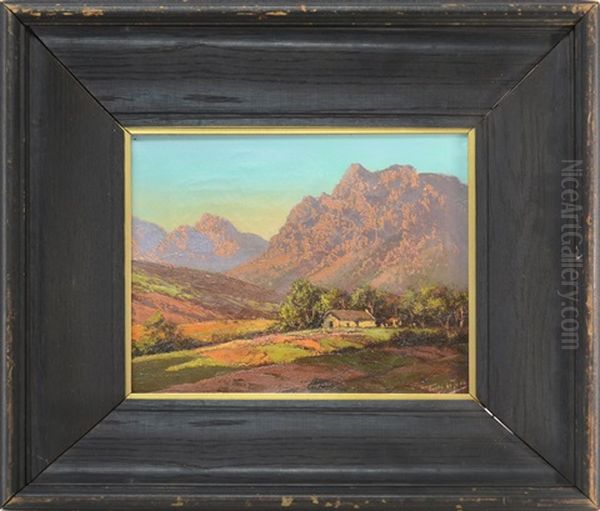 House In A Landscape - view 1