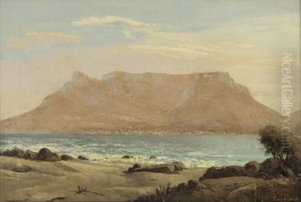 View Of Table Mountain - view 1