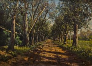 An Avenue Of Trees An Avenue Of Trees