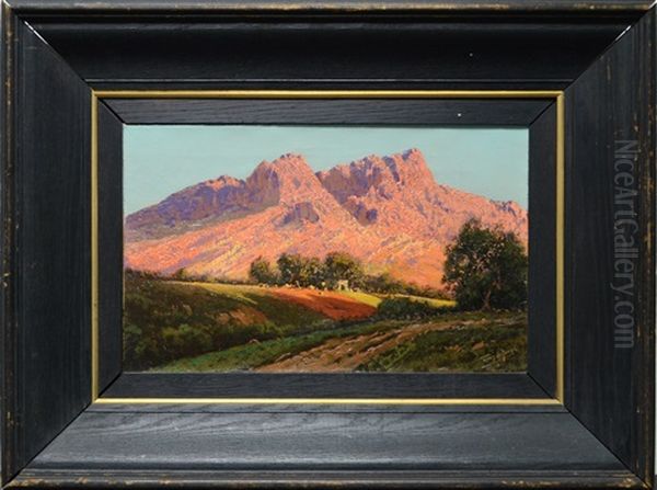 South African Landscape With White Buildings - view 1