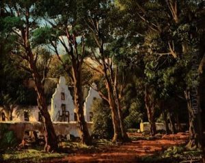 Homestead Surrounded By Trees Homestead Surrounded By Trees