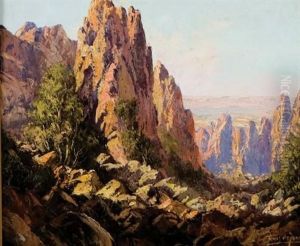 View Of A Ravine