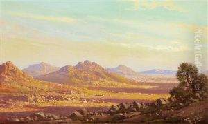 The Karoo by Tinus de Jongh