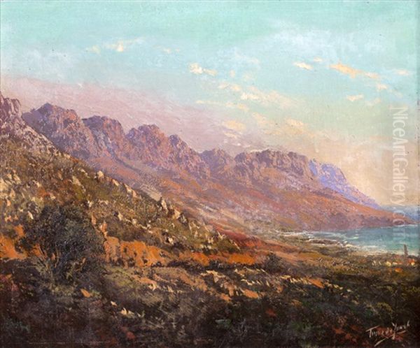 The Twelve Apostles, Cape Town - view 1