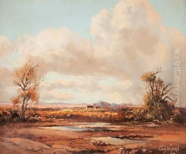 Karoo Landscape - view 1