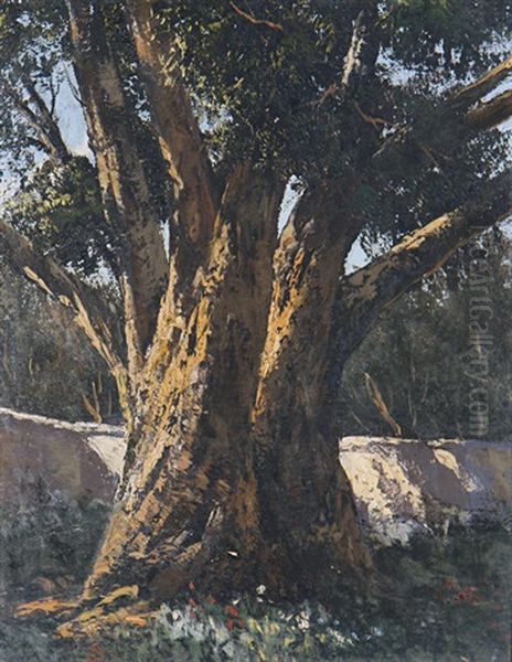 The Old Tree - view 1