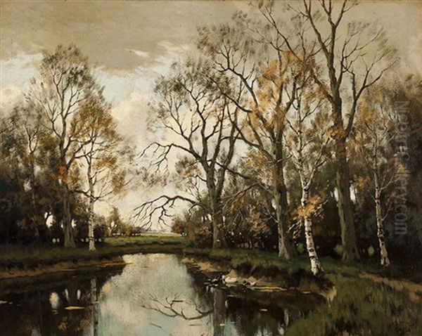 Ducks In A Spring Surrounded By Trees - view 1