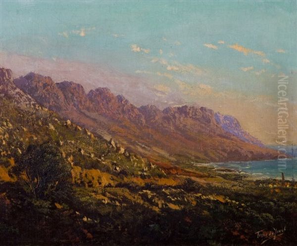 Twelve Apostles, Cape Town - view 1