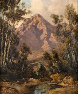 Mountain Stream by Tinus de Jongh