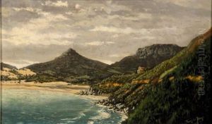 Cape Seascape by Tinus de Jongh