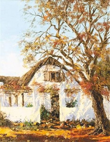 A Thatch Homestead - view 1