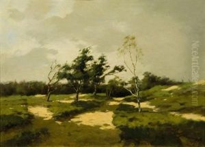 A Path Between Trees by Tinus de Jongh