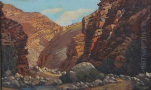 Late Afternoon In A River Gorge