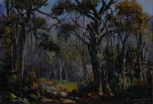 Knysna Forest by Tinus de Jongh
