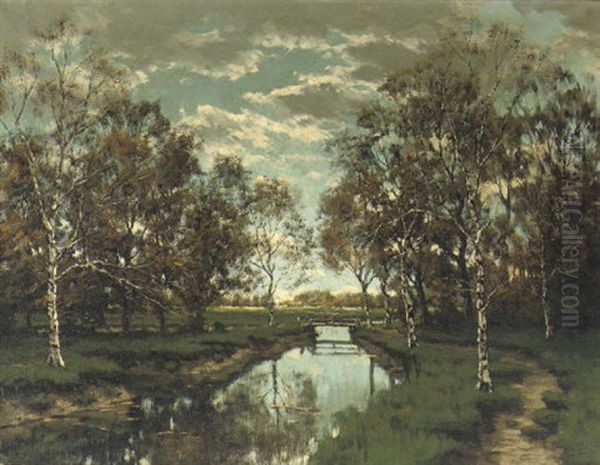 De Voordense Beek - A Sunny Autumn Landscape With Birches - view 1