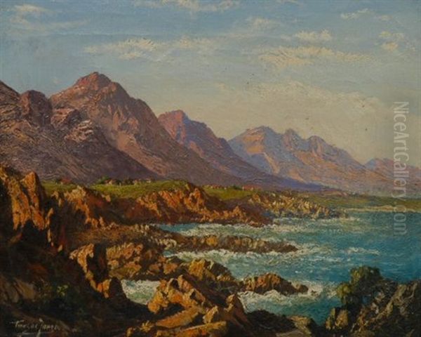 Twelve Apostles, Cape - view 1
