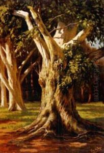 Gum Trees by Tinus de Jongh