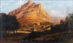 Sunlit Mountain by Tinus de Jongh