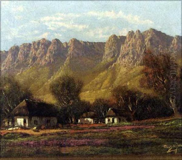 Cottages, Boland - view 1