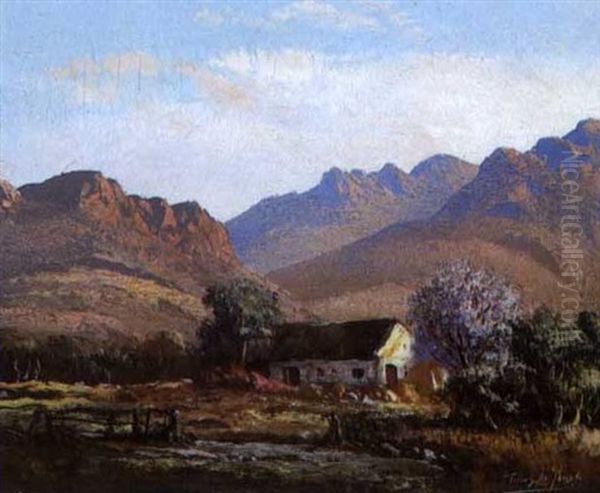Cape Cottage - view 1