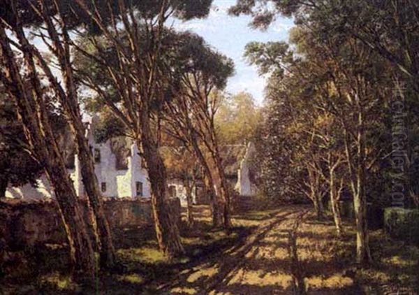 Cape Homestead - view 1