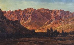 Late Afternoon Glow by Tinus de Jongh