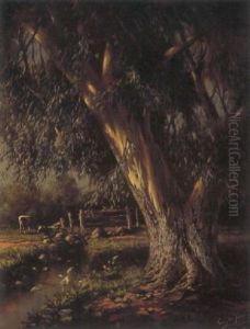 Heathfield By Cape Town by Tinus de Jongh