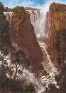 A View Of Victoria Falls