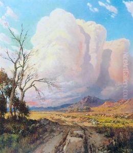 Cloud Burst - Orange Free State by Tinus de Jongh