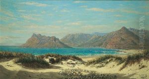 Hout Bay And Chapman's Peak Drive
