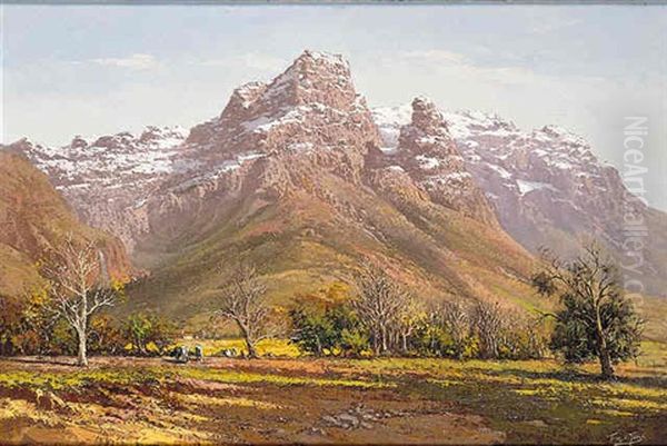 Mountainous Landscape In The Cape - view 1