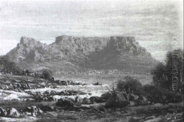 S_dafrikanische Kustenlandschaft - view 1