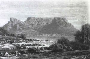 S_dafrikanische Kustenlandschaft S_dafrikanische Kustenlandschaft