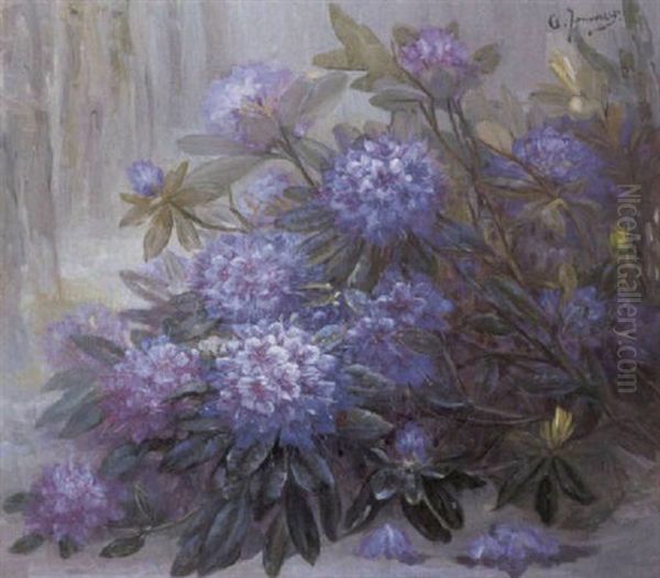 Rhododendrons - view 1