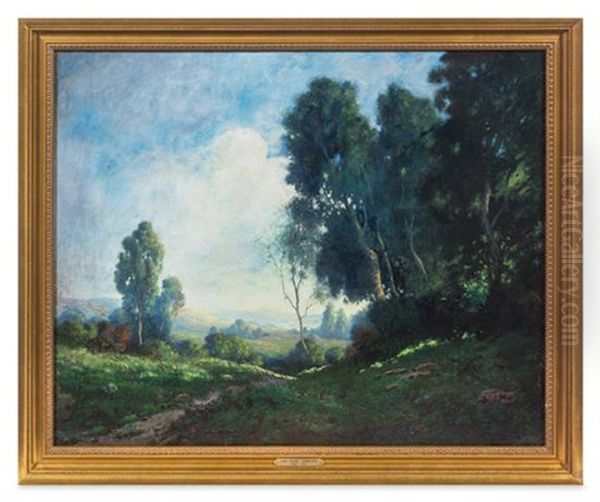 Morning Landscape, California - view 1