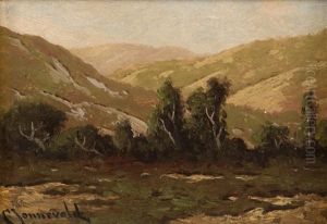 Marin County Hills by Carl Henrik Jonnevold