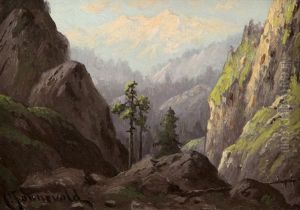In The California Sierras