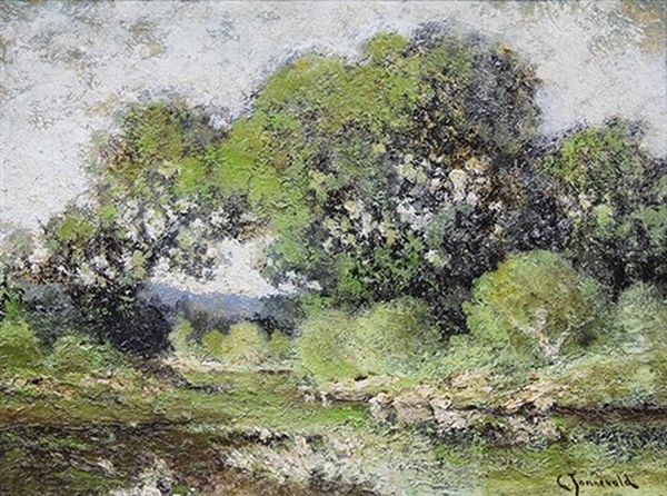 Stream In The Woods - view 1
