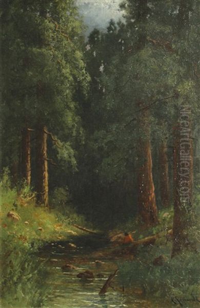 In The Redwoods, California - view 1